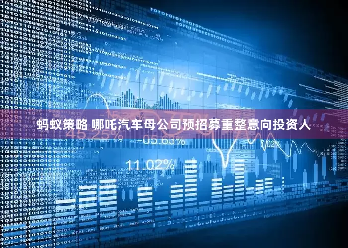 蚂蚁策略 哪吒汽车母公司预招募重整意向投资人